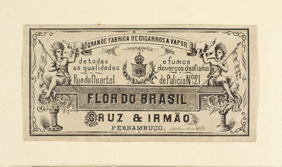 vizualizar o documento on line